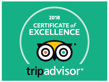 trip advisor excellence